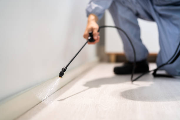 Rodent Entry Point Assessment in Villa Park