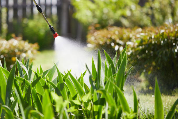 Tamper-Resistant Bait Stations for Rodents in Villa Park