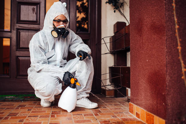 Attic and Crawl Space Rodent Treatment in Villa Park